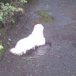 Image02