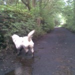 Image03