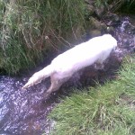 Image04