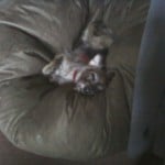 Photo-0013 (2)