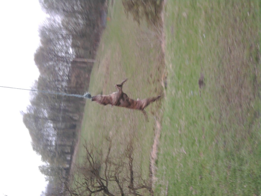 Photo0370