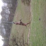 Photo0370