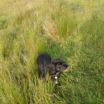 Photo0501 (2)