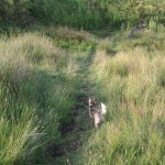 Photo0502 (2)