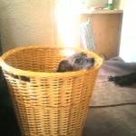 Photo0511