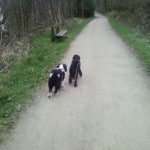 elle & izzie