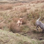 lola and lilly